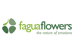 faguaflowers
