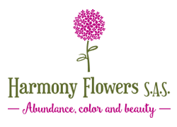 harmony-flowers